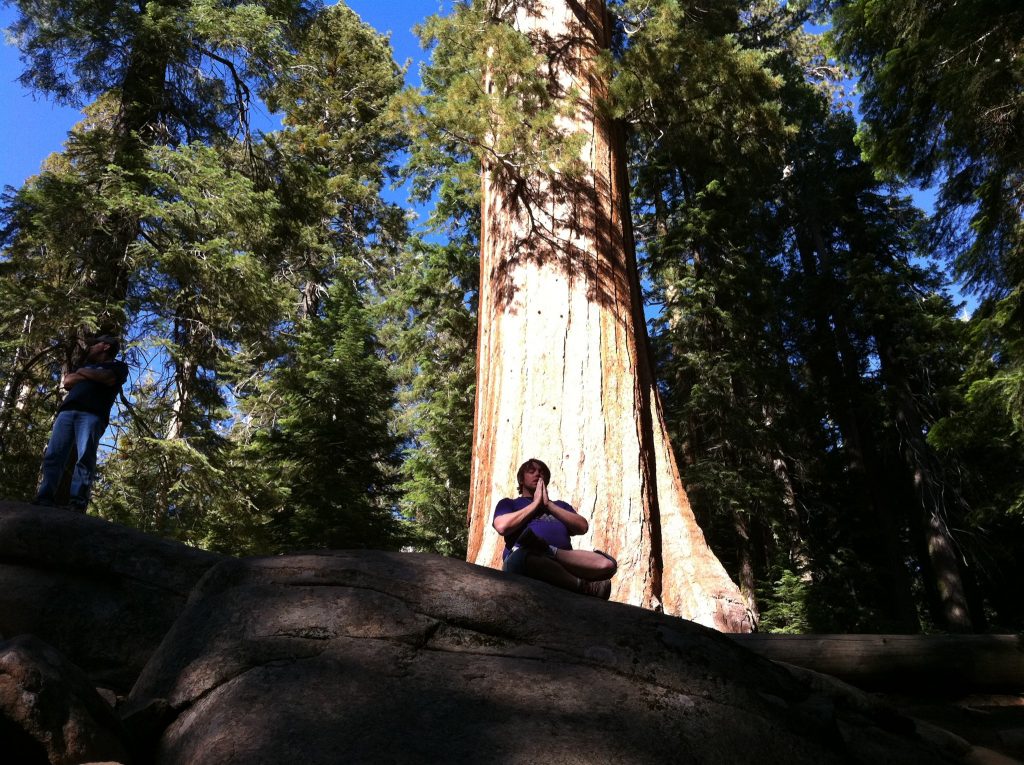 Rev. John Culbertson Meditating in the Sequoia National Park
