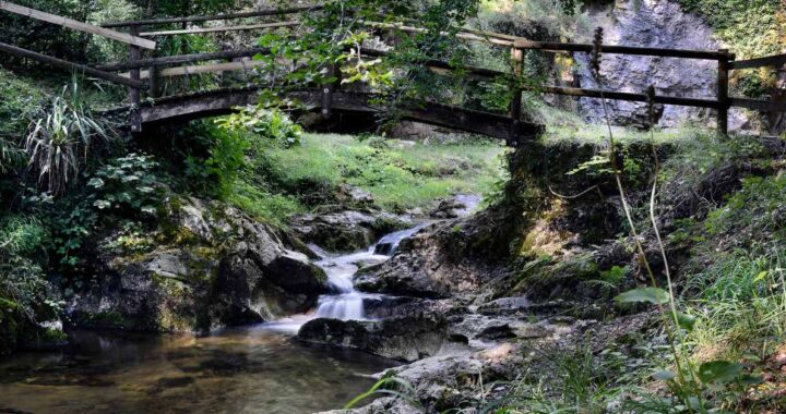 Flowing Stream in the Woods Below a Wooden Bridge.